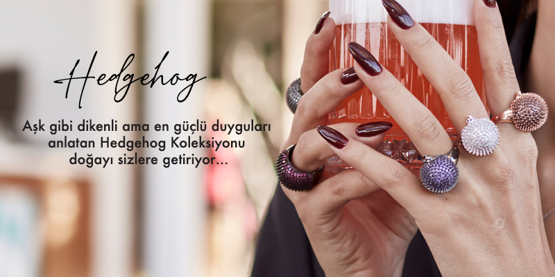 Roberto Bravo Gümüş Hedgehog Koleksiyon Ürünleri